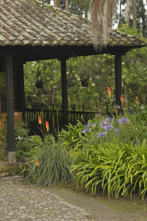 Molino San Juan Bed & Breakfast Кайамбе Екстериор снимка